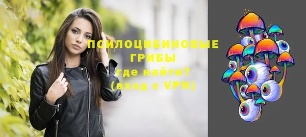 apvp Зеленокумск